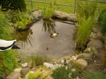 Bild 020