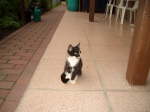 Bild 021